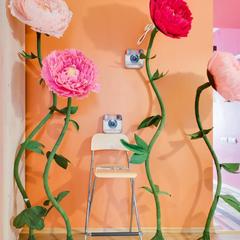 Гостевой дом Современник, Санкт-Петербург, Ленинградская область