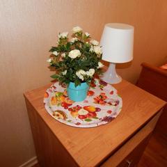 Отель Адванс-Трио, Санкт-Петербург, Ленинградская область