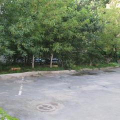 Мини-отель Аллан, Санкт-Петербург, Ленинградская область