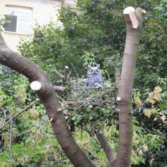 Мини-отель Аллан, Санкт-Петербург, Ленинградская область