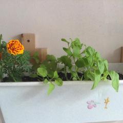 Гостиница 812, Грибоедов, Санкт-Петербург, Ленинградская область