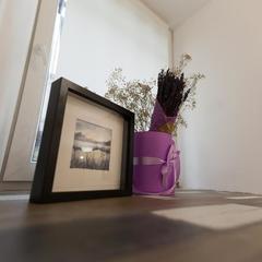 Гостиница 812, Грибоедов, Санкт-Петербург, Ленинградская область