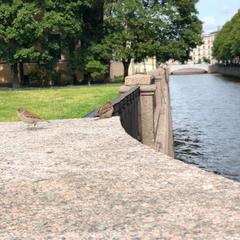 Отель Carat Inn, Санкт-Петербург, Ленинградская область