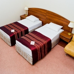  Частная резиденция Богемия, Саратов, Саратовская область