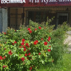 Гостиница На Кузнечной, Саратов, Саратовская область