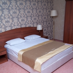 Отель Пионер-Люкс, Саратов, Саратовская область