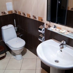 Отель Пионер-Люкс, Саратов, Саратовская область