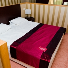 Отель Пионер-Люкс, Саратов, Саратовская область