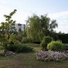 Гостиничный комплекс Сокол, Саратов, Саратовская область