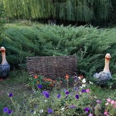 Гостиничный комплекс Сокол, Саратов, Саратовская область