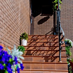 Гостиница Полина, Саратов, Саратовская область