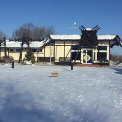 База отдыха Подсолнух, Саратов, Саратовская область