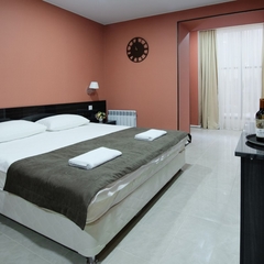 Гостиница Менуа, Саратов, Саратовская область