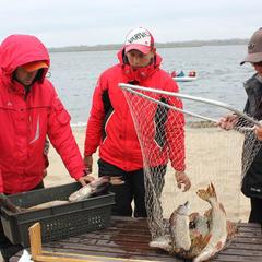 База отдыха Подсолнух, Саратов, Саратовская область