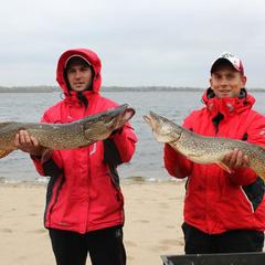 База отдыха Подсолнух, Саратов, Саратовская область