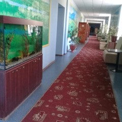 Гостиница Юнас, Саратов, Саратовская область