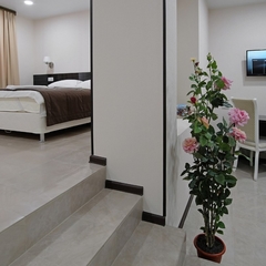 Гостиница Менуа, Саратов, Саратовская область