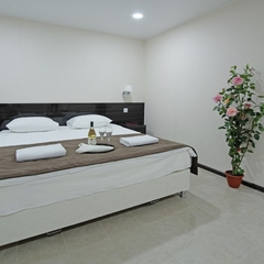 Гостиница Менуа, Саратов, Саратовская область