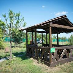 База отдыха Подсолнух, Саратов, Саратовская область