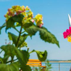 База отдыха Волга Star, Саратов, Саратовская область