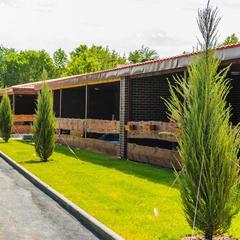 База отдыха Волга Star, Саратов, Саратовская область