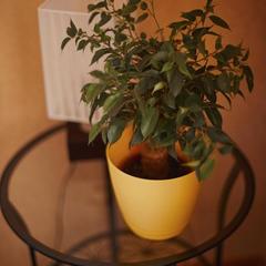 Гостиница ZBest hotels Айсберг Саратов, Саратов, Саратовская область