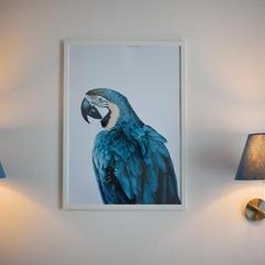 Гостиница ZBest hotels Айсберг Саратов, Саратов, Саратовская область