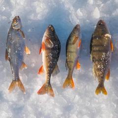 База отдыха Алтан, Сарма, Иркутская область