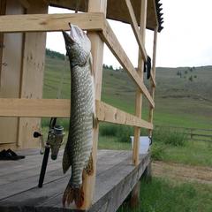 Гостевой дом Воробьёвы горы, Сарма, Иркутская область