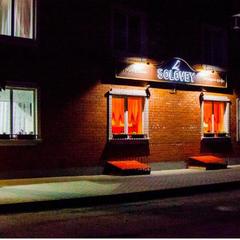 Гостиница Соловей, Сасово, Рязанская область