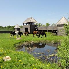 Отель Вышегор 310, Сафоново, Смоленская область