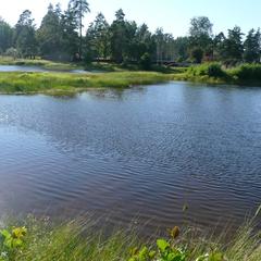 Гостевой дом Сатис, Сатис, Нижегородская область