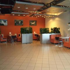 Отель Вышегор 310, Сафоново, Смоленская область