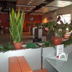 Отель Вышегор 310, Сафоново, Смоленская область