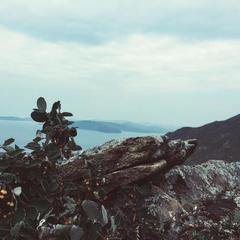 Гостевой дом Байкал-Майами, Сахюрта, Иркутская область