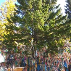 Гостевой дом Панорама, Сахюрта, Иркутская область