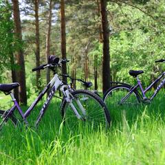 База отдыха Жарки, Саяногорск, Республика Хакасия
