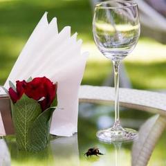 Гостиница Royal Falke Resort & SPA, Светлогорск, Калининградская область