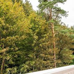 Отель Grand Palace, Светлогорск, Калининградская область