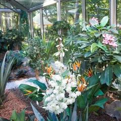 Гостиница Royal Falke Resort & SPA, Светлогорск, Калининградская область