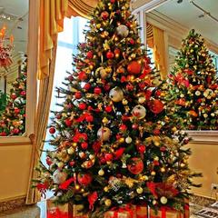 Отель Grand Palace, Светлогорск, Калининградская область