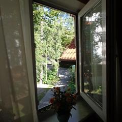 Пансионат Сосны, Светлогорск, Калининградская область