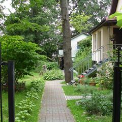 Пансионат Сосны, Светлогорск, Калининградская область