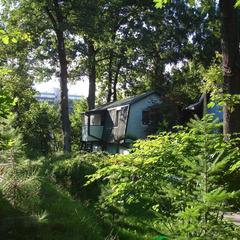 Пансионат Сосны, Светлогорск, Калининградская область