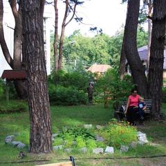 Отель Дом Сказочника, Светлогорск, Калининградская область