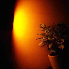 Хостел Этаж, Светлогорск, Калининградская область