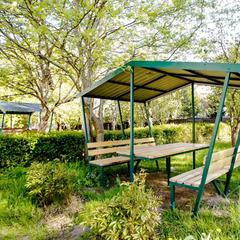 Отель Чайка, Светлогорск, Калининградская область