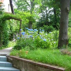 Пансионат Сосны, Светлогорск, Калининградская область