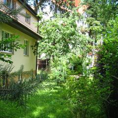 Пансионат Сосны, Светлогорск, Калининградская область