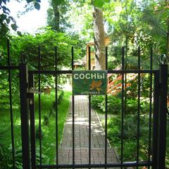 Пансионат Сосны, Светлогорск, Калининградская область